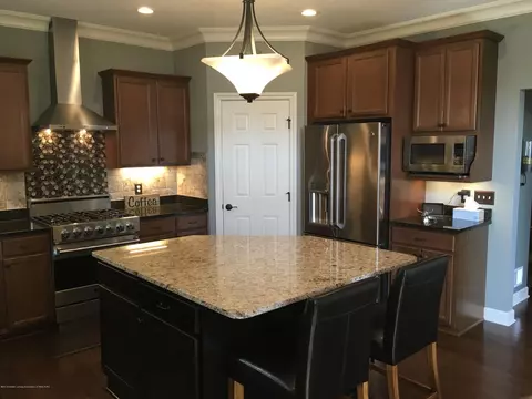 11720 Murano Dr, Dewitt, MI 48820 photo 14
