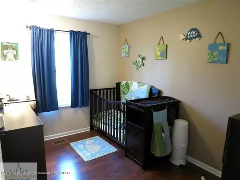 510 Cherry St, Dewitt, MI 48820 photo 10