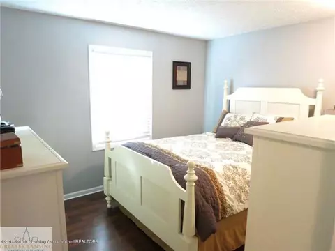 510 Cherry St, Dewitt, MI 48820 photo 9