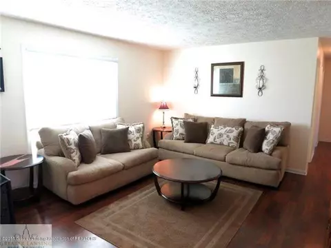 510 Cherry St, Dewitt, MI 48820 photo 4