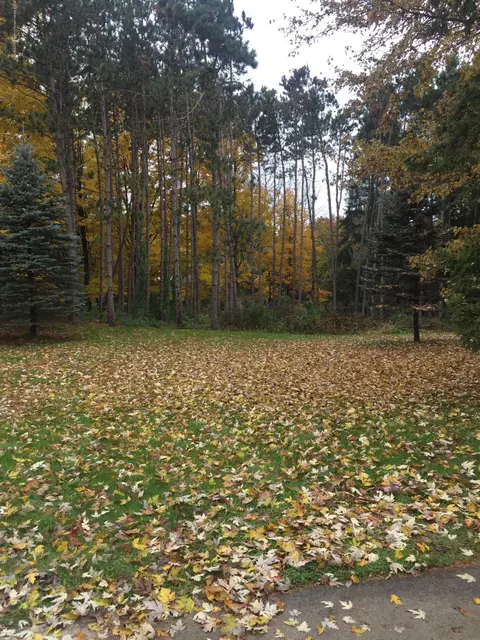 15000 Myers Rd, Dewitt, MI 48820 photo 5