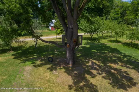 2376 Eifert Rd, Holt, MI 48842 photo 52