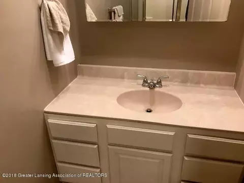 4325 Gull Rd, Lansing, MI 48917 photo 21