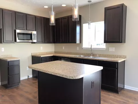 13810 Bauerle Rd, Dewitt, MI 48820 photo 15