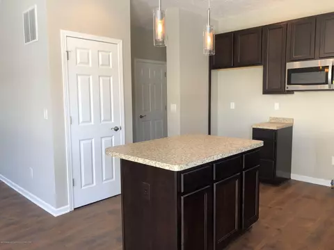 13810 Bauerle Rd, Dewitt, MI 48820 photo 12