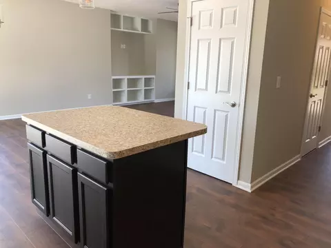 13810 Bauerle Rd, Dewitt, MI 48820 photo 17