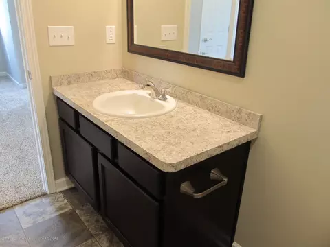 13810 Bauerle Rd, Dewitt, MI 48820 photo 35
