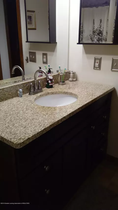 1221 Longspur Dr, Dewitt, MI 48820 photo 19