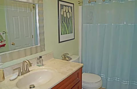 438 White Pine Blvd, Lansing, MI 48917 photo 18