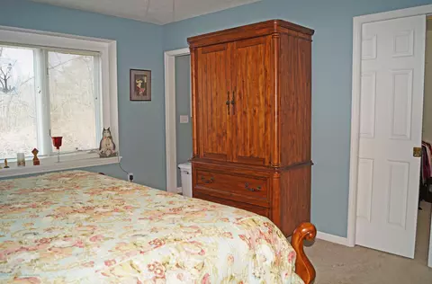 438 White Pine Blvd, Lansing, MI 48917 photo 13