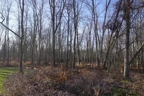 1224 Sandhill Dr, Dewitt, MI 48820 photo 20