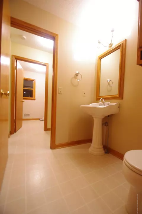 3202 Kari Cir, Dewitt, MI 48820 photo 27