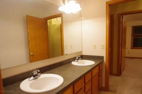3202 Kari Cir, Dewitt, MI 48820 photo 44