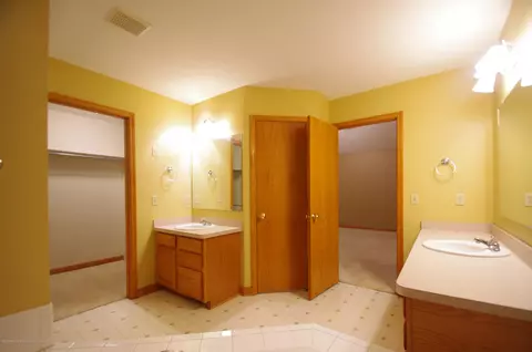 3202 Kari Cir, Dewitt, MI 48820 photo 34