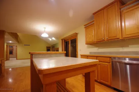 3202 Kari Cir, Dewitt, MI 48820 photo 26