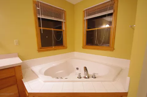 3202 Kari Cir, Dewitt, MI 48820 photo 32