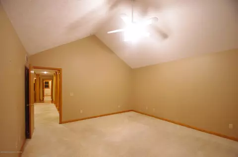 3202 Kari Cir, Dewitt, MI 48820 photo 29