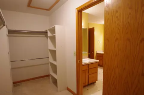 3202 Kari Cir, Dewitt, MI 48820 photo 35