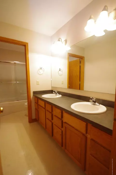 3202 Kari Cir, Dewitt, MI 48820 photo 45