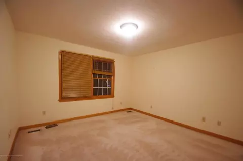 3202 Kari Cir, Dewitt, MI 48820 photo 40