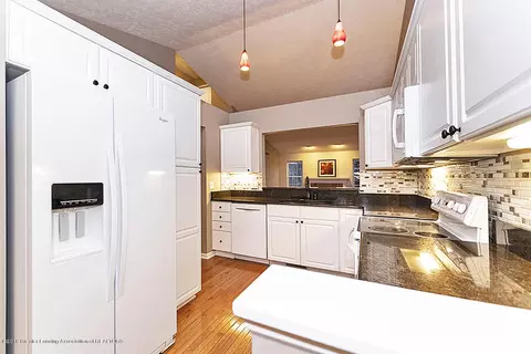 323 Split Rail Rdg, Williamston, MI 48895 photo 9