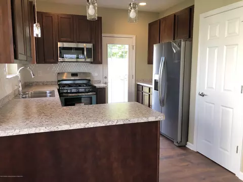 8566 Jacaranda Dr, Dimondale, MI 48821 photo 5