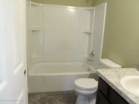 8566 Jacaranda Dr, Dimondale, MI 48821 photo 34