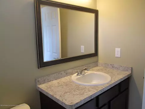 8566 Jacaranda Dr, Dimondale, MI 48821 photo 30
