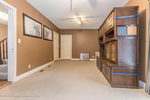 223 E Clinton St, Ovid, MI 48866 photo 11