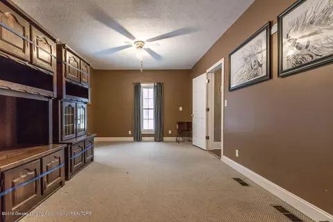 223 E Clinton St, Ovid, MI 48866 photo 12