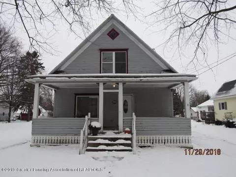213 E Pine St, Elsie, MI 48831 photo 1
