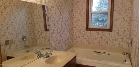 787 Tanbark Dr, Dimondale, MI 48821 photo 11