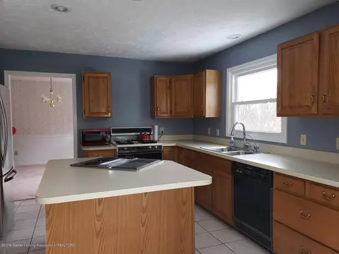 787 Tanbark Dr, Dimondale, MI 48821 photo 7