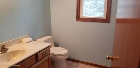 787 Tanbark Dr, Dimondale, MI 48821 photo 16