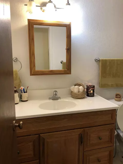 1747 Maple Ridge Rd # 18, Haslett, MI 48840 photo 12