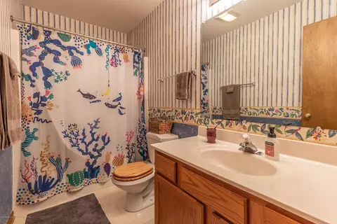 12940 Ontonagon, Dewitt, MI 48820 photo 20