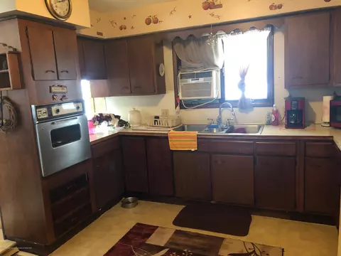 120 E Maple St, Elsie, MI 48831 photo 6