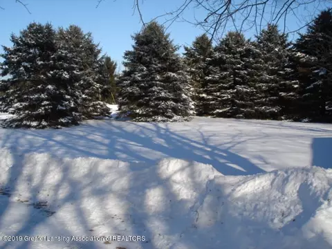 2896 Avery Rd, Saint Johns, MI 48879 photo 33