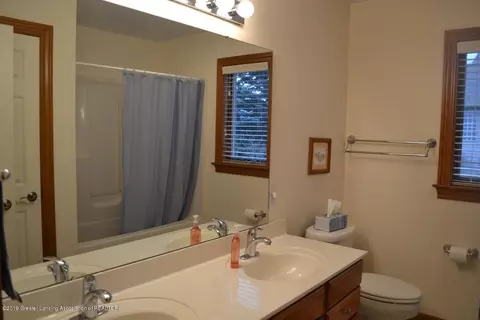 3301 Canopy Dr, Dewitt, MI 48820 photo 18