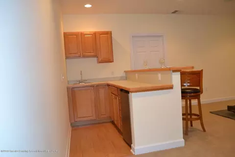 3301 Canopy Dr, Dewitt, MI 48820 photo 19