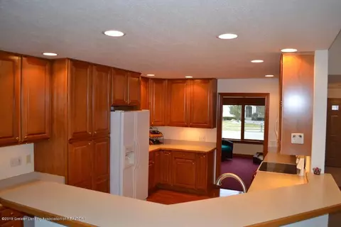 3301 Canopy Dr, Dewitt, MI 48820 photo 4