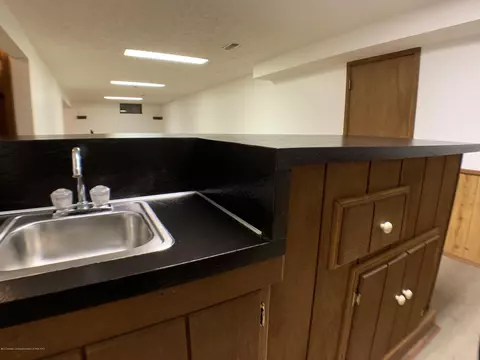 12668 Holly Ln, Dewitt, MI 48820 photo 23