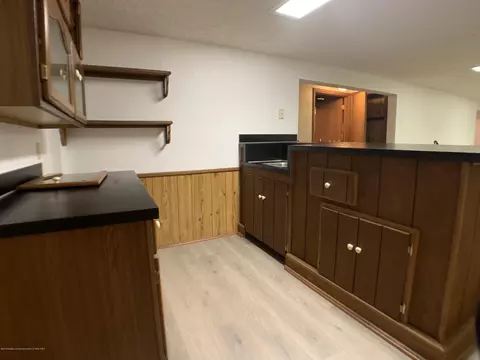 12668 Holly Ln, Dewitt, MI 48820 photo 22