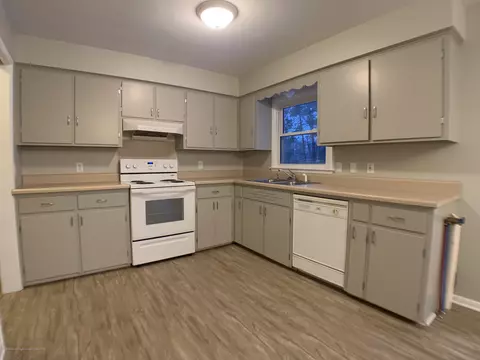 12668 Holly Ln, Dewitt, MI 48820 photo 7