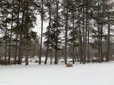 12668 Holly Ln, Dewitt, MI 48820 photo 30