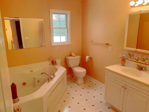 928 Hogsback Rd, Mason, MI 48854 photo 24