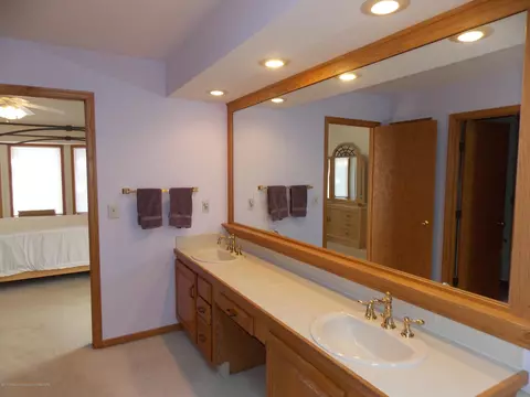 4822 Malpaso Ln, Lansing, MI 48917 photo 21