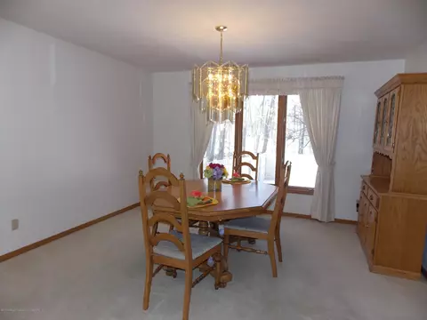 4822 Malpaso Ln, Lansing, MI 48917 photo 10