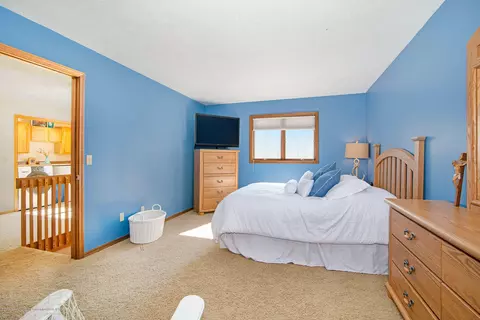 4220 Driftwood Dr, Dewitt, MI 48820 photo 14