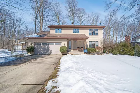 4220 Driftwood Dr, Dewitt, MI 48820 photo 1